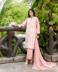 Tawakkal Luxury Pure Cotton 3PC Unstitched Suit – All-Over Kashmiri Embroidery with Lace Work