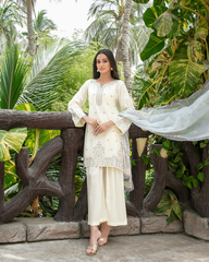 Tawakkal Premium Cotton Series – Minimalist Luxury Kashmiri Embroidery